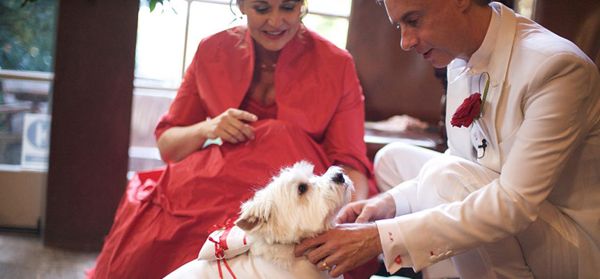 Hondstrouw jawoord? - Pauline Suidgeest Ceremoniespreker