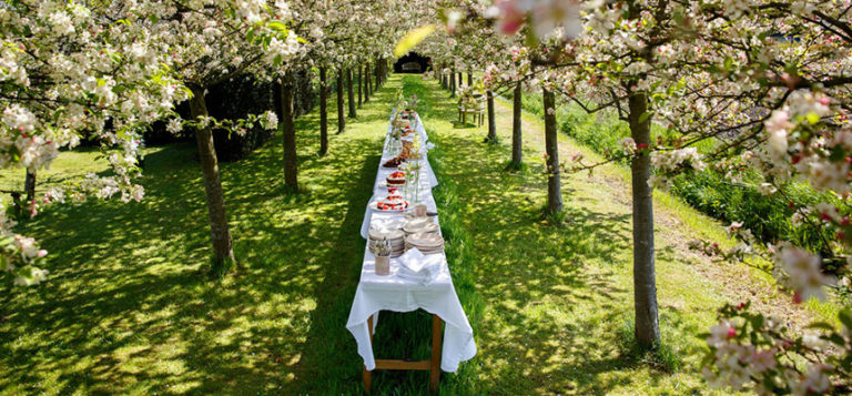 Ceremonie Trouwen - Pauline Suidgeest Ceremoniespreker