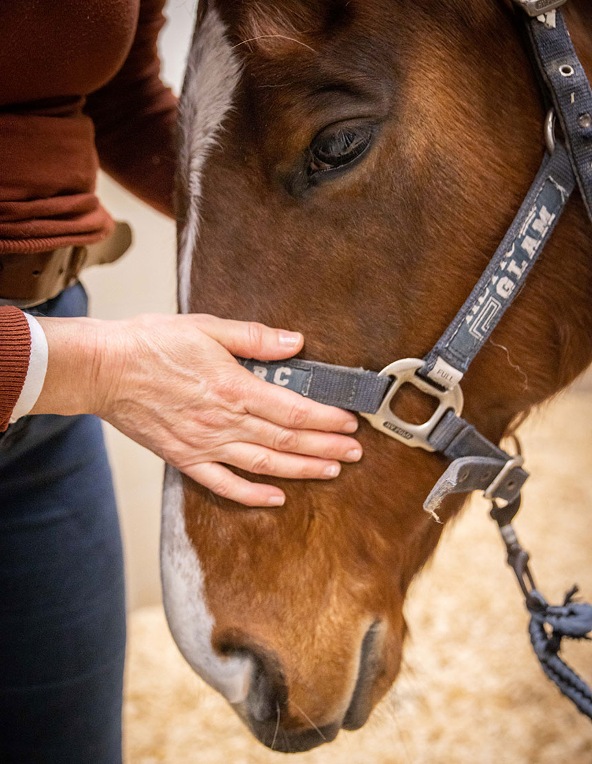 Liefdevol en bewust afscheid nemen